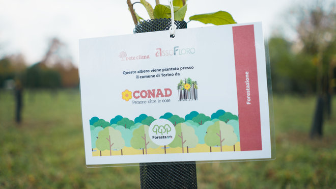 141122 - Torino_Conad_2.25.1.POST.jpg